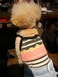 e0129958_0193636.jpg