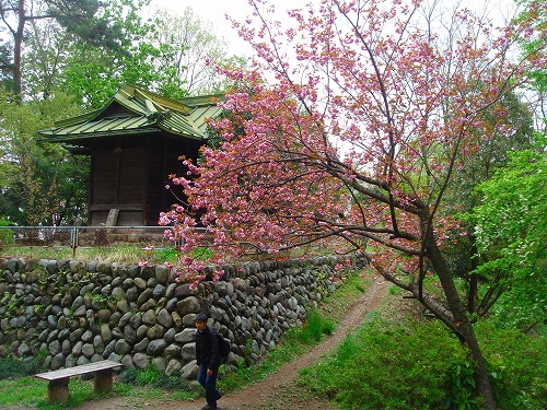 c0119160_231012100.jpg