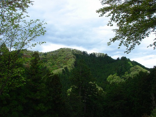 c0119160_2318464.jpg