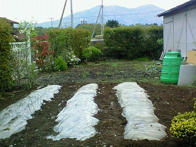 e0009760_8304788.jpg