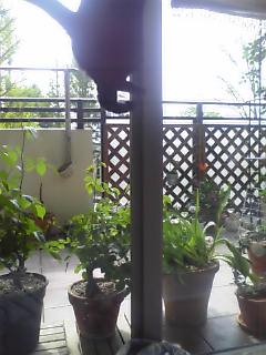 b0061261_10202250.jpg