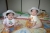 c0014367_820860.jpg