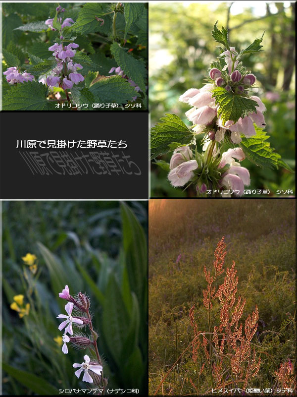 f0104569_2128126.jpg