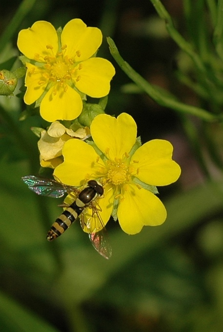 b0070071_209816.jpg