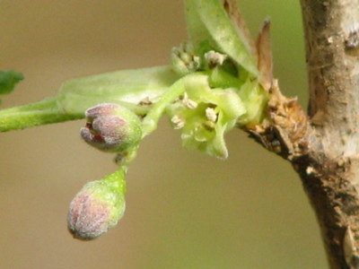 d0050472_1505028.jpg