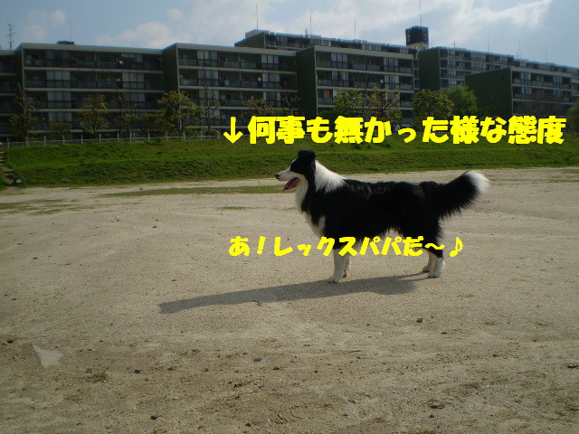 e0117976_1441566.jpg
