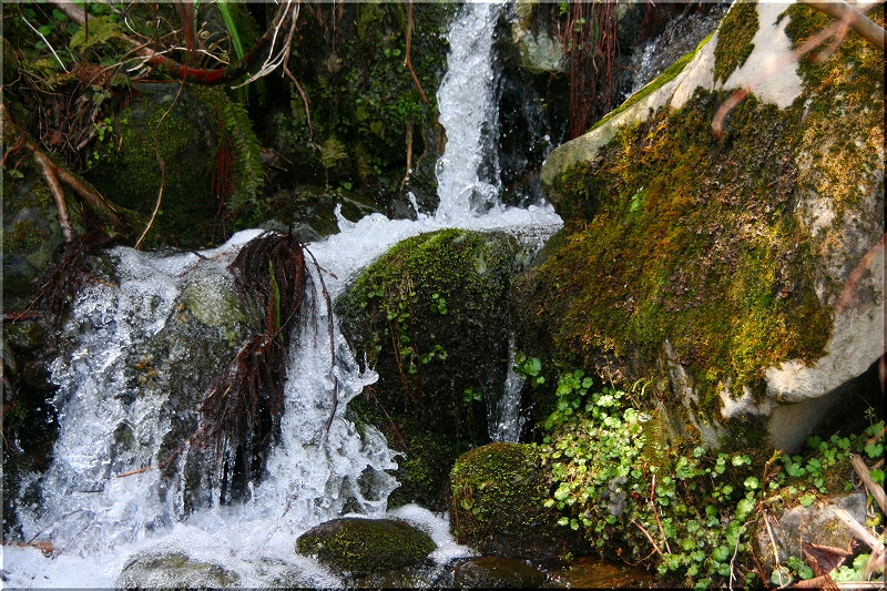 e0024081_2248597.jpg