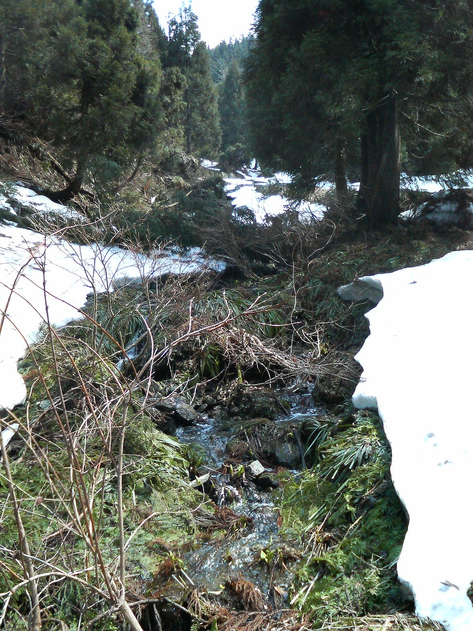 e0024081_22542356.jpg