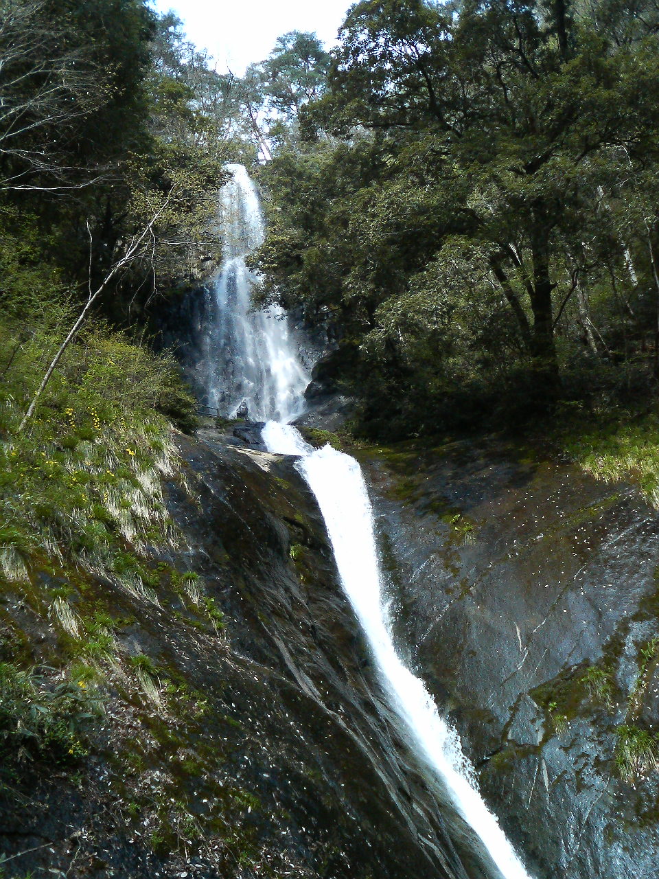 e0024081_22553746.jpg