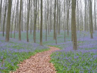 c0069083_33016.jpg