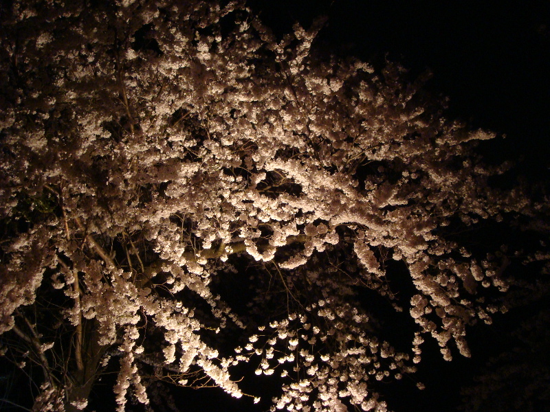 b0055987_252118.jpg