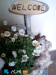 e0137390_042439.jpg