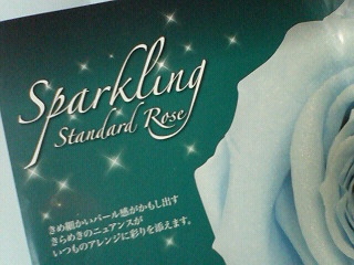 a0101000_17553643.jpg