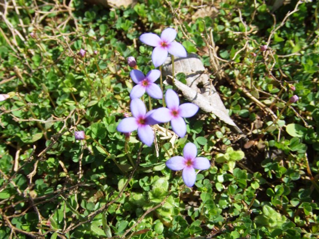 c0062603_3203827.jpg