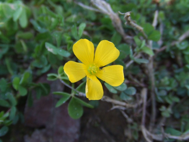 c0062603_321479.jpg