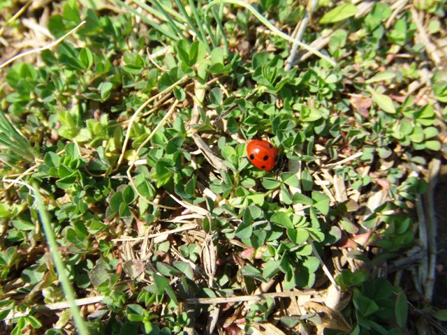 c0062603_3221258.jpg