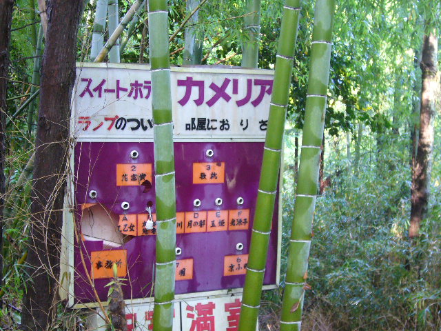 e0015108_2592837.jpg