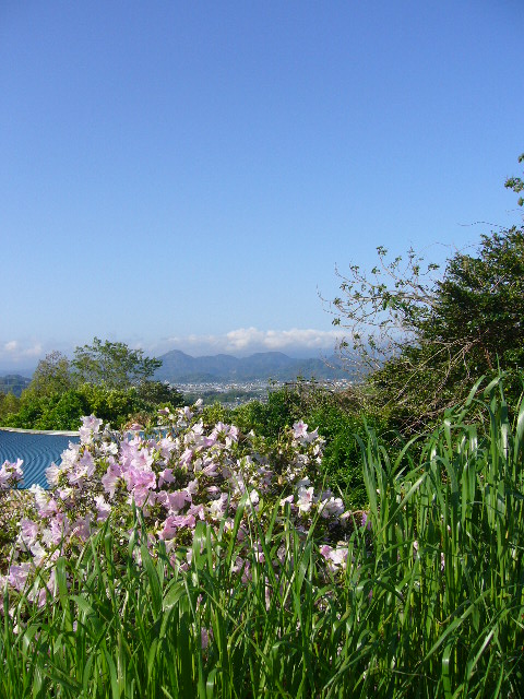 e0015108_259531.jpg