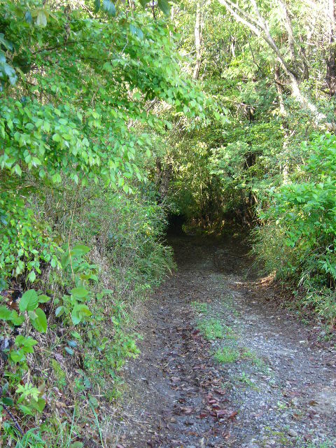e0015108_315857.jpg