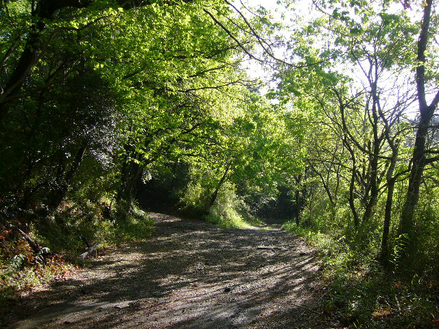 e0015108_322567.jpg
