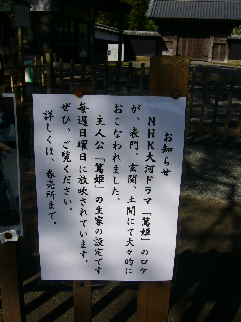 e0015108_325689.jpg
