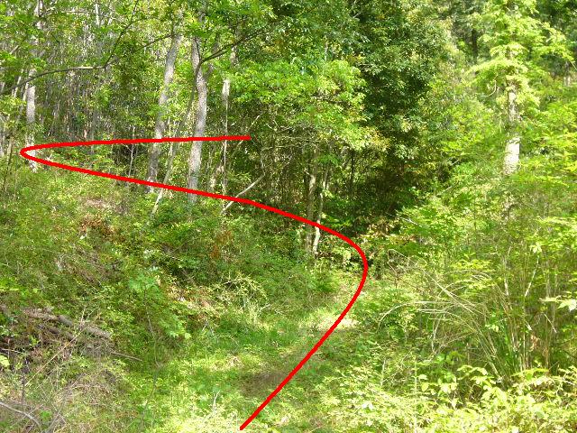 e0015108_3302970.jpg