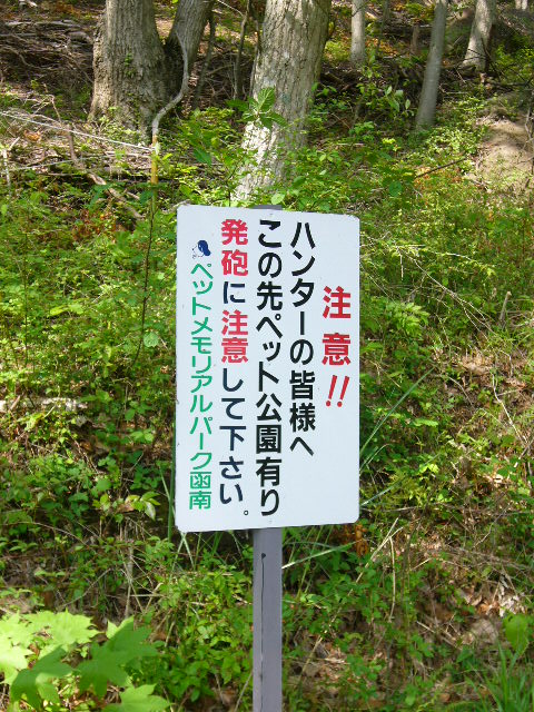 e0015108_3404841.jpg