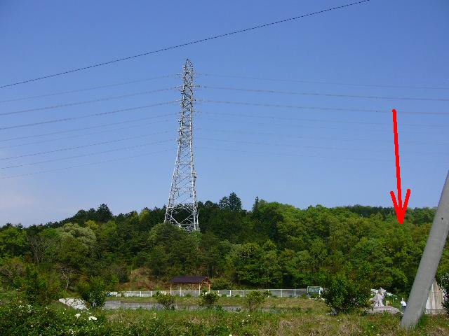 e0015108_3475924.jpg