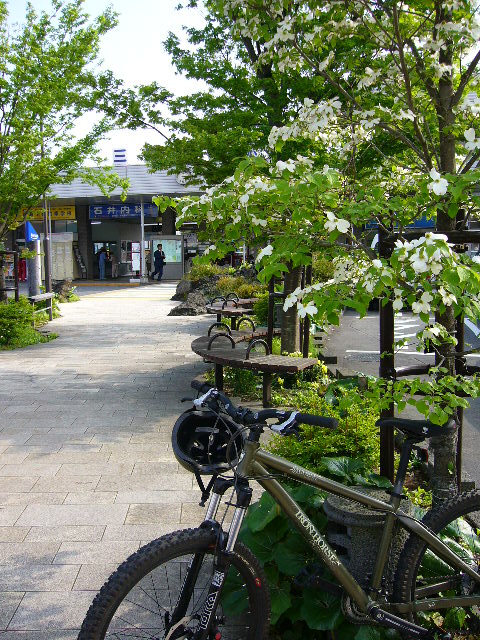 e0015108_351928.jpg