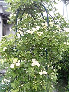 e0098908_230106.jpg