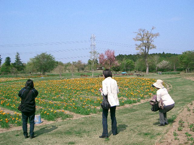 f0162908_15202881.jpg
