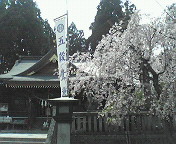 d0138212_22442316.jpg