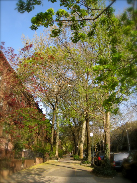 c0120817_21425539.jpg