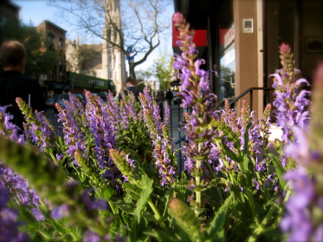 c0120817_21441551.jpg