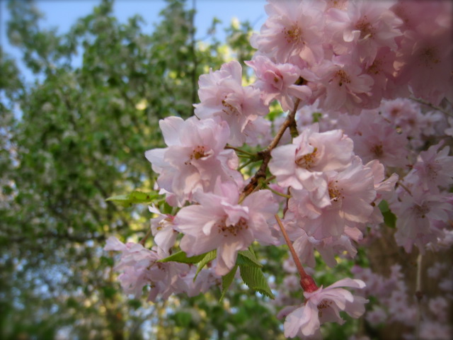 c0120817_21472537.jpg
