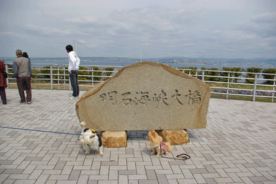 b0075318_23215073.gif