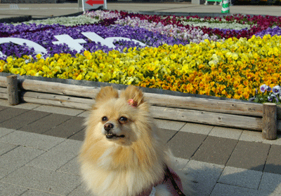 b0075318_23333063.gif