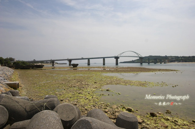 c0089419_2214717.jpg