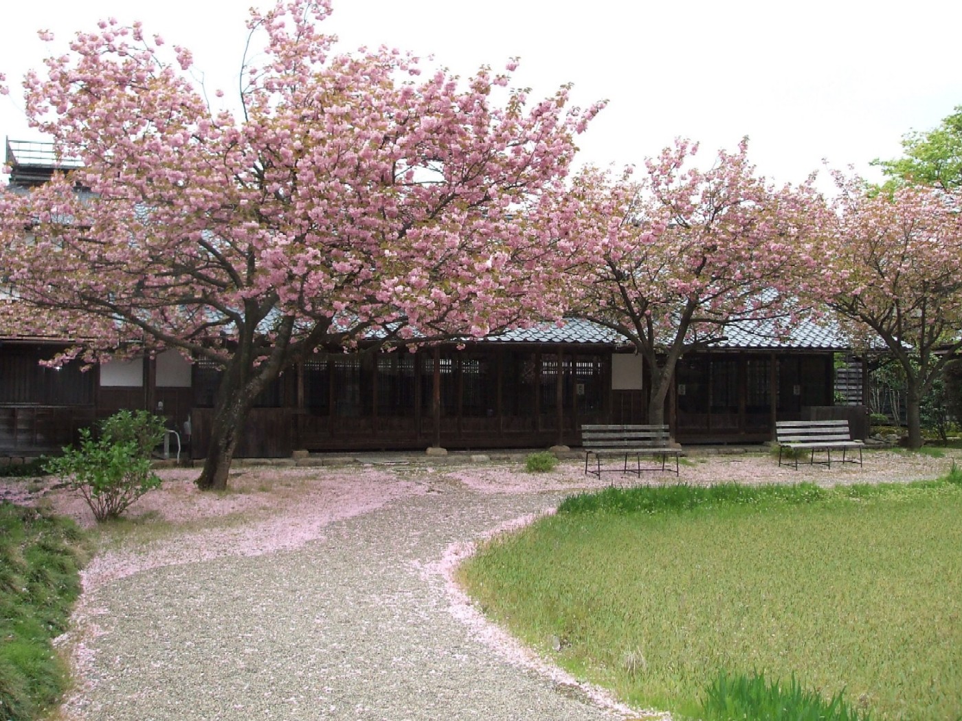 e0135219_17124522.jpg