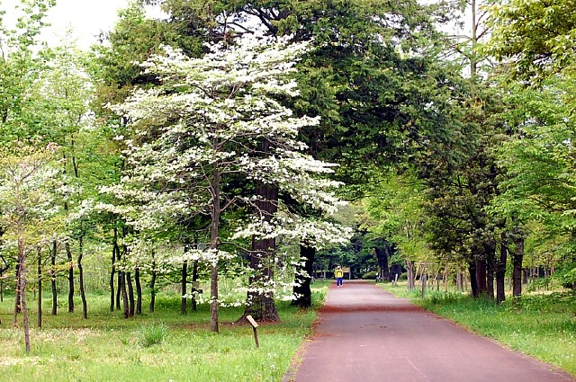 d0083623_20212513.jpg