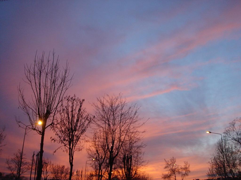 f0132327_1635999.jpg