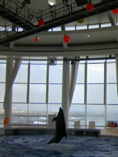c0086129_8505254.jpg