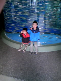 c0086129_8505286.jpg