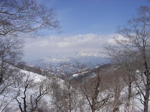 f0118332_0184181.jpg
