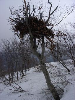 f0118332_09252.jpg