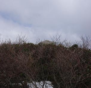 f0118332_0952100.jpg