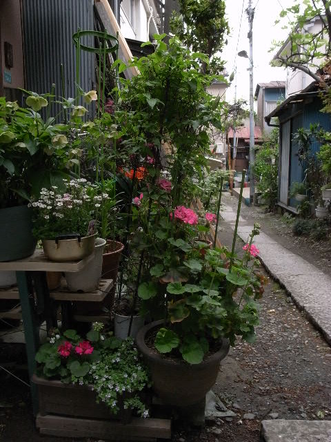 a0087341_2343347.jpg