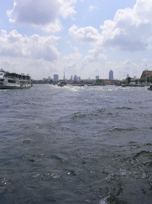 b0041442_1555798.jpg