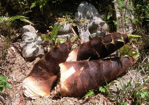 c0072843_18312810.jpg