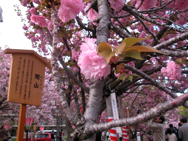a0063846_0251936.jpg